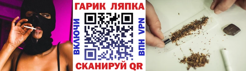 Купить где  Лиски  ГАШ гарик 