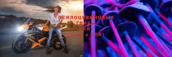 СК Волоколамск