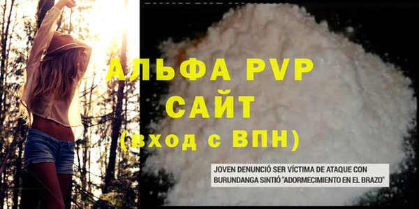 СК Волоколамск