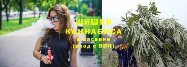 СК Волоколамск
